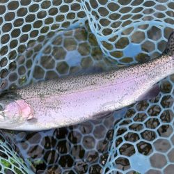 雨のフィッシングパーク高島の泉